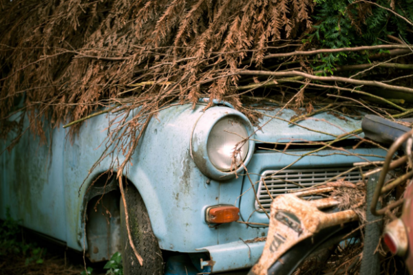 Immagine 15