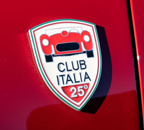 Immagine 6