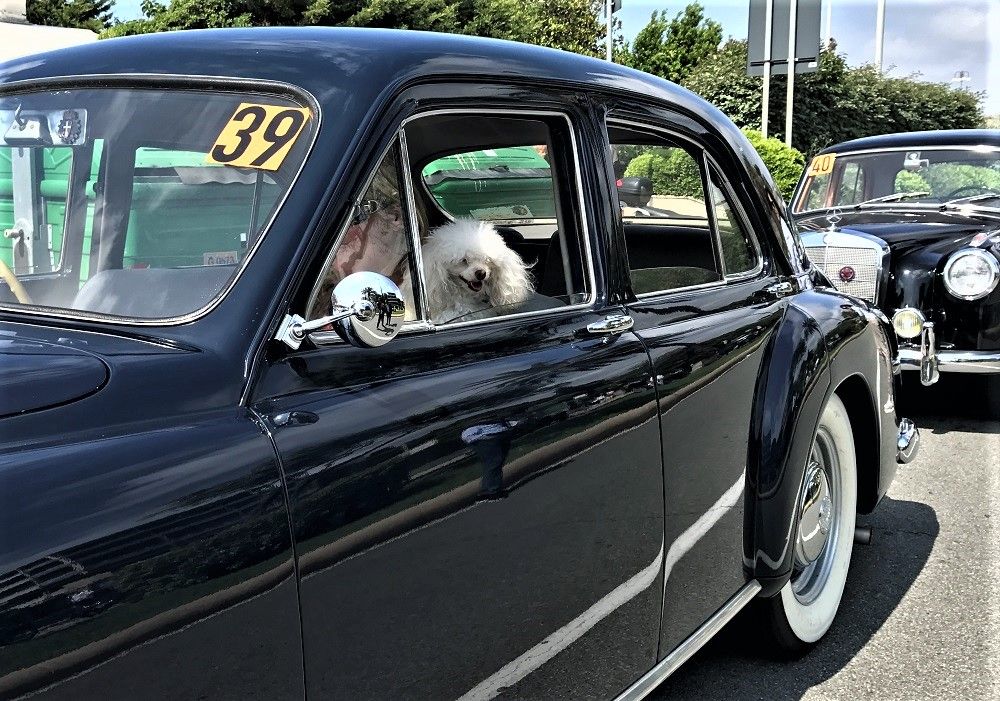 Genoa, Circuit of Superba was a great success