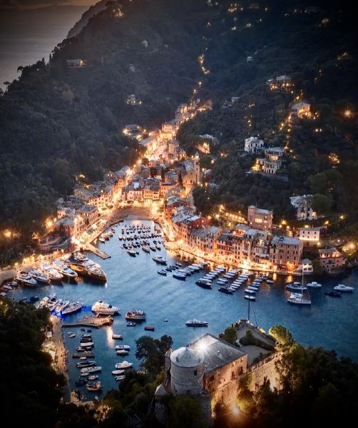 Immagine 5
