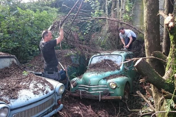 81 HISTORICAL CARS FOUND IN THE WOODS