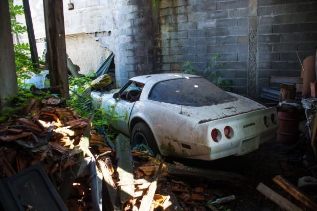 81 HISTORICAL CARS FOUND IN THE WOODS