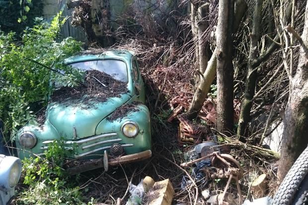 81 HISTORICAL CARS FOUND IN THE WOODS