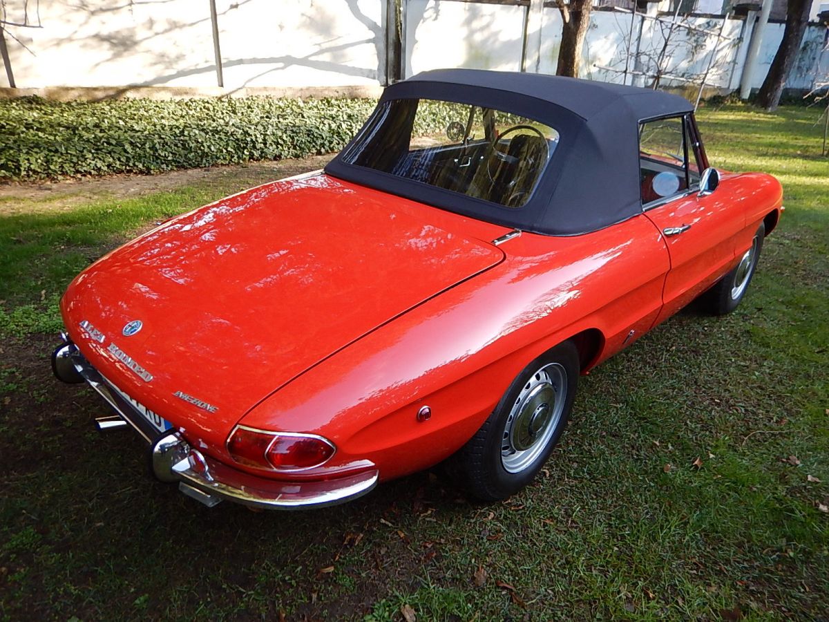 ALFA 1750 SPIDER VELOCE, OSSO DI SEPPIA 