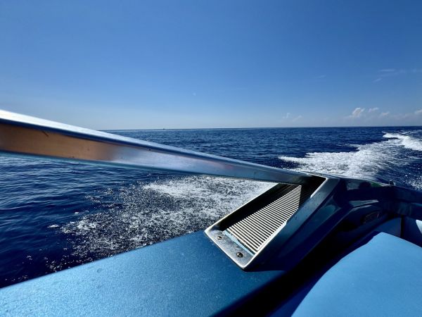 Immagine 8