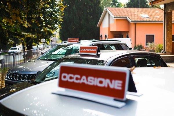 Immagine 7