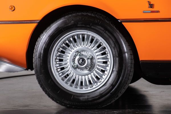 Immagine 5