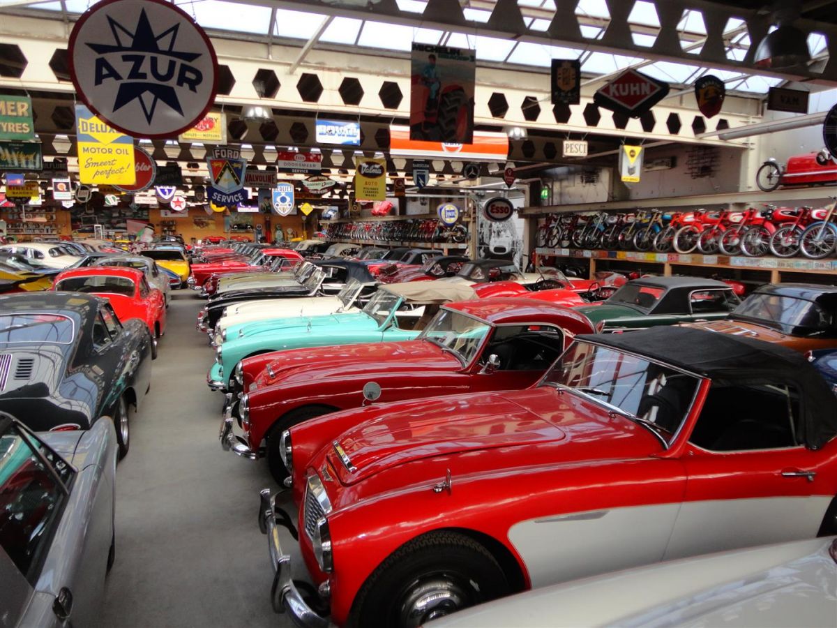 Joop Stolze Classic Cars: FROM ORCHIDS TO VINTAGE CARS