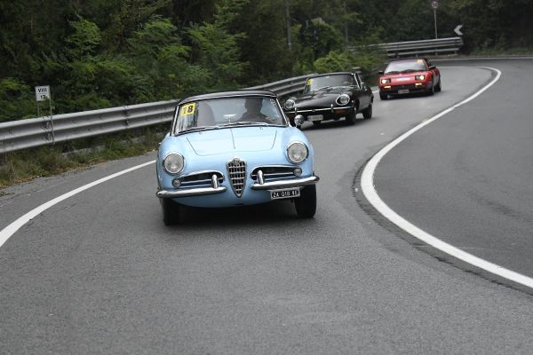 Immagine 3