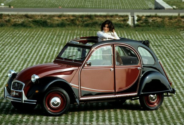 Immagine 4