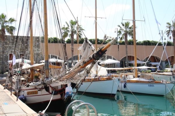 Immagine 3