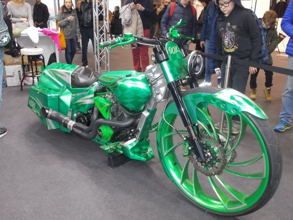 Immagine 2