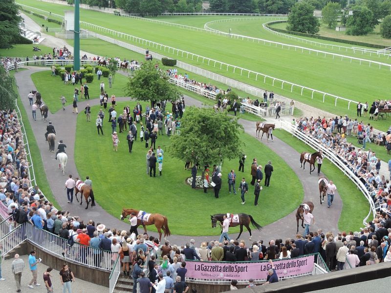 HIPPODROME OF SAN SIRO: TROFEO OAKS – GALLOPING RACE WORLDLINESS ELEGANCE AND… HISTORIC CARS