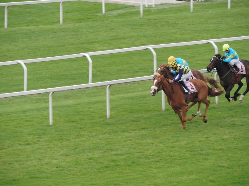 HIPPODROME OF SAN SIRO: TROFEO OAKS – GALLOPING RACE WORLDLINESS ELEGANCE AND… HISTORIC CARS