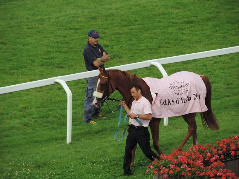 HIPPODROME OF SAN SIRO: TROFEO OAKS – GALLOPING RACE WORLDLINESS ELEGANCE AND… HISTORIC CARS
