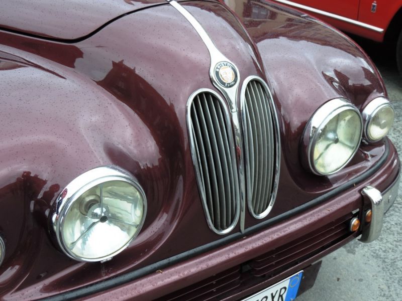 Concours Villa Reale - Monza