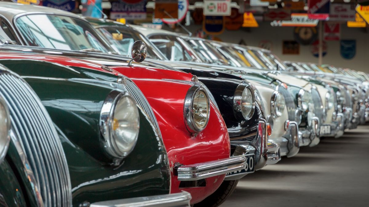 Joop Stolze Classic Cars: FROM ORCHIDS TO VINTAGE CARS