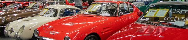 Immagine 6