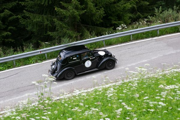 Immagine 1