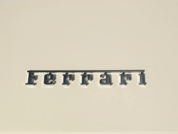 Immagine 5