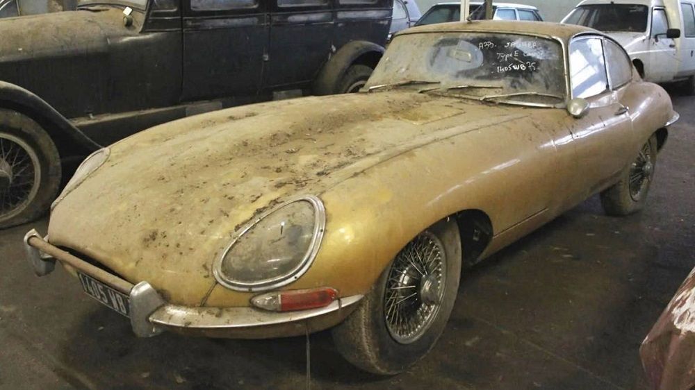 81 HISTORICAL CARS FOUND IN THE WOODS