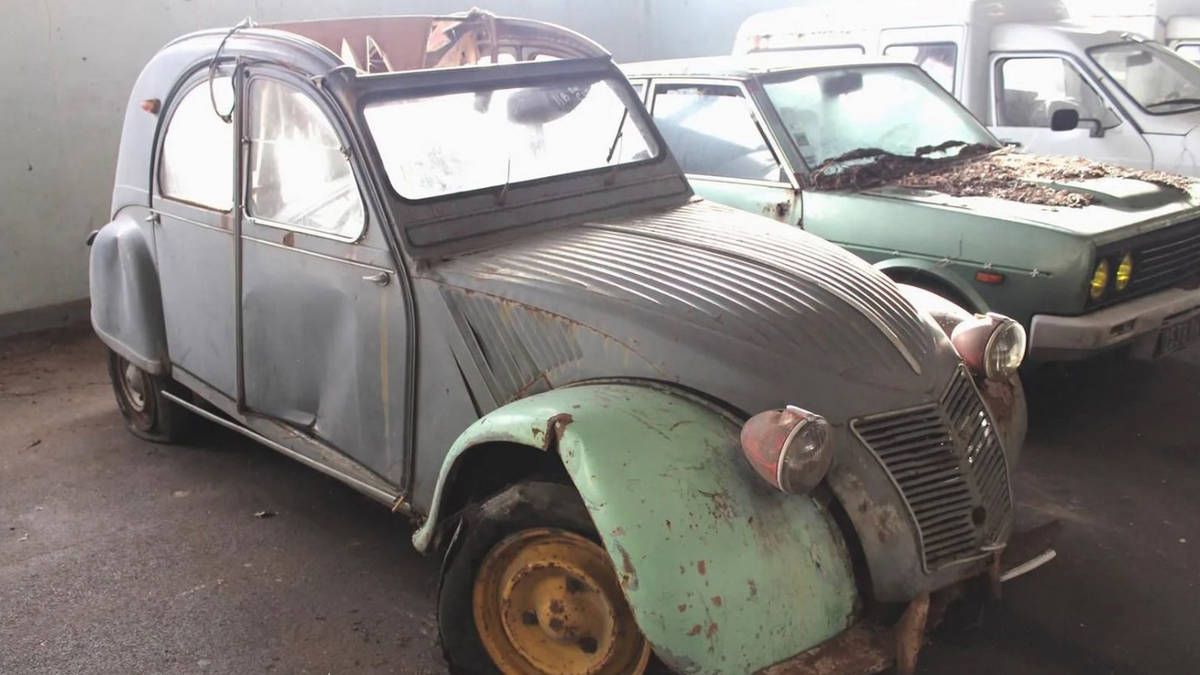 81 HISTORICAL CARS FOUND IN THE WOODS