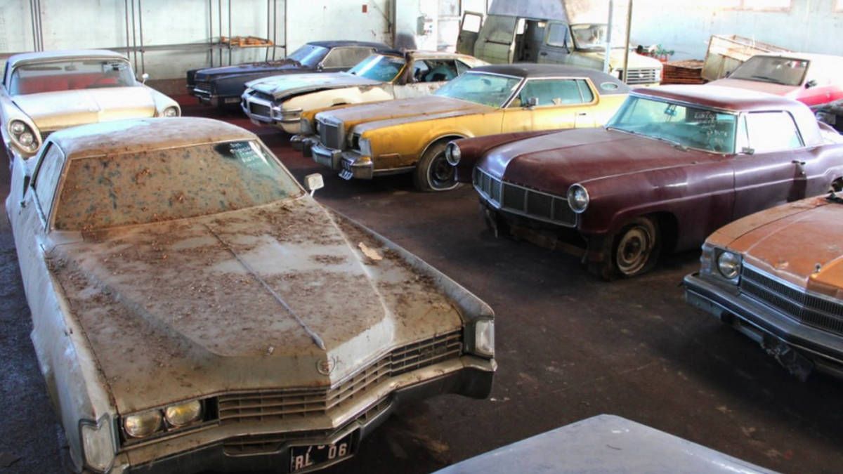 81 HISTORICAL CARS FOUND IN THE WOODS