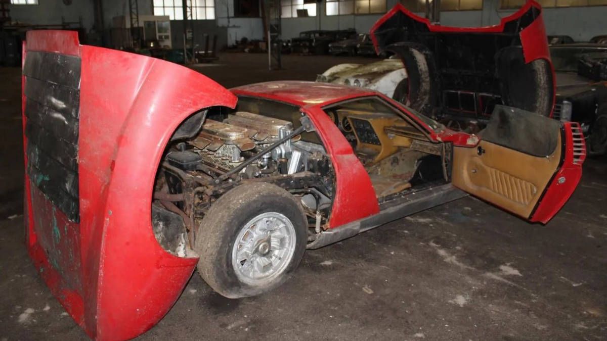 81 HISTORICAL CARS FOUND IN THE WOODS
