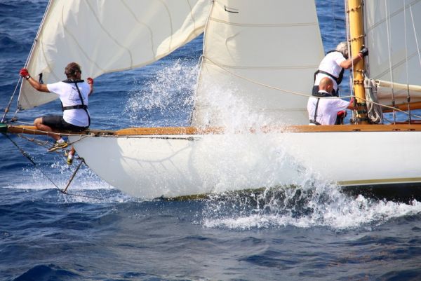Immagine 3