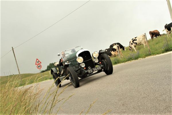 Immagine 6