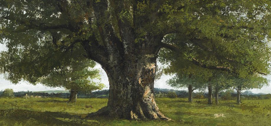 Courbet e la natura 